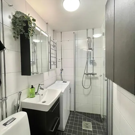 Puma's Flat 2 In Helsinki